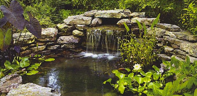 Waterfall in garden